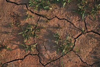 ÉTICA MEDIOAMBIENTE Y SOCIEDAD: ESTRATEGIAS DE VIDA ANTE EFECTOS DEL CAMBIO CLIMÁTICO.