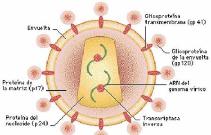 &Eacute;tica e Infecciones de Transmisi&oacute;n sexual 